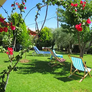 Summer House Apartment Nikiti (Sithonia)